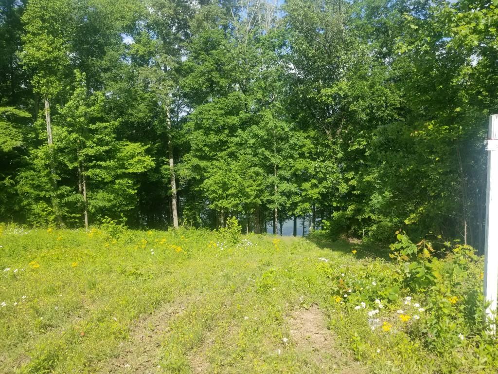 Lot 11 Spring Crossing Dr Spring Spring City, TN 37381 - Photo 6 of 16 6
