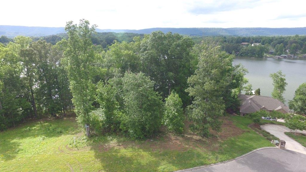 Lot 11 Spring Crossing Dr Spring Spring City, TN 37381 - Photo 10 of 16 10