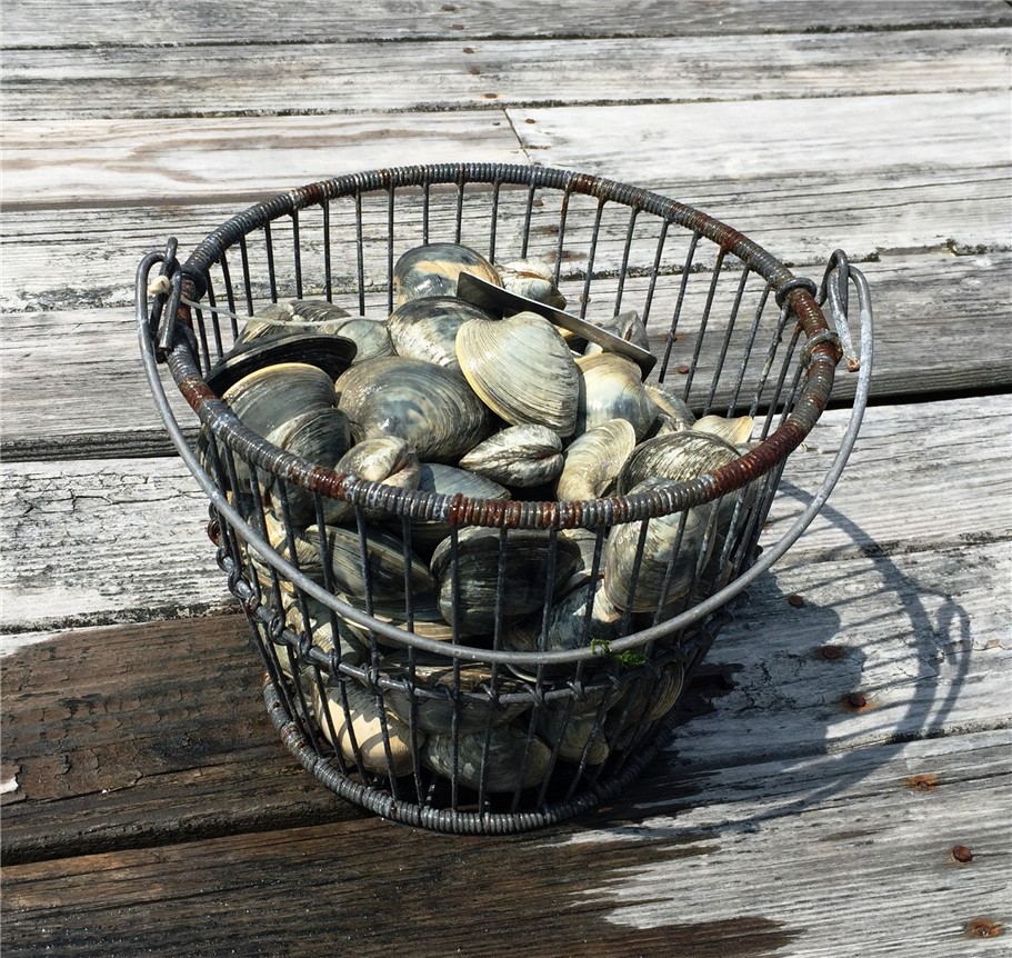 470 Atlantic Avenue Westerly, RI 02891 - Photo 50 of 50