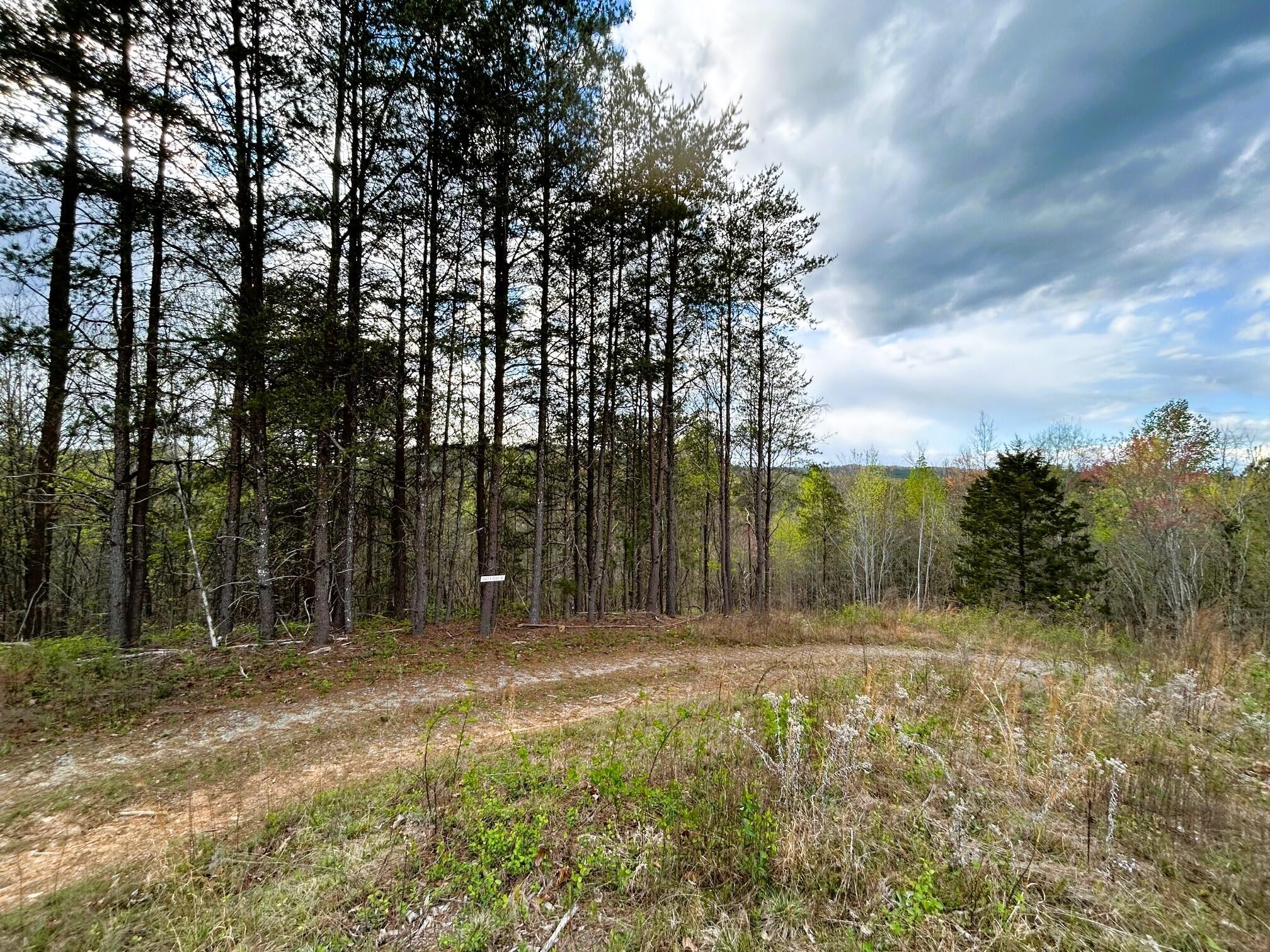 3 Southwest Owl Hollow Road McDonald, TN 37353 - Photo 4 of 9