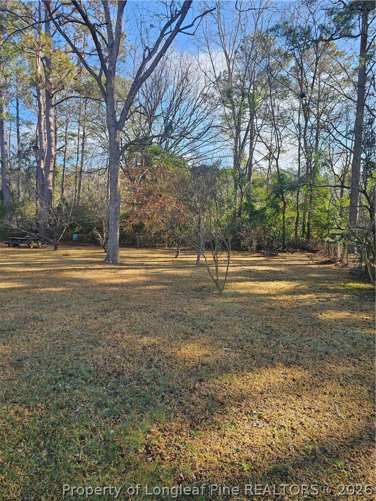2133 Al Ray Road Fayetteville, NC 28312 - Photo 6 of 6 a view of dirt yard with green space