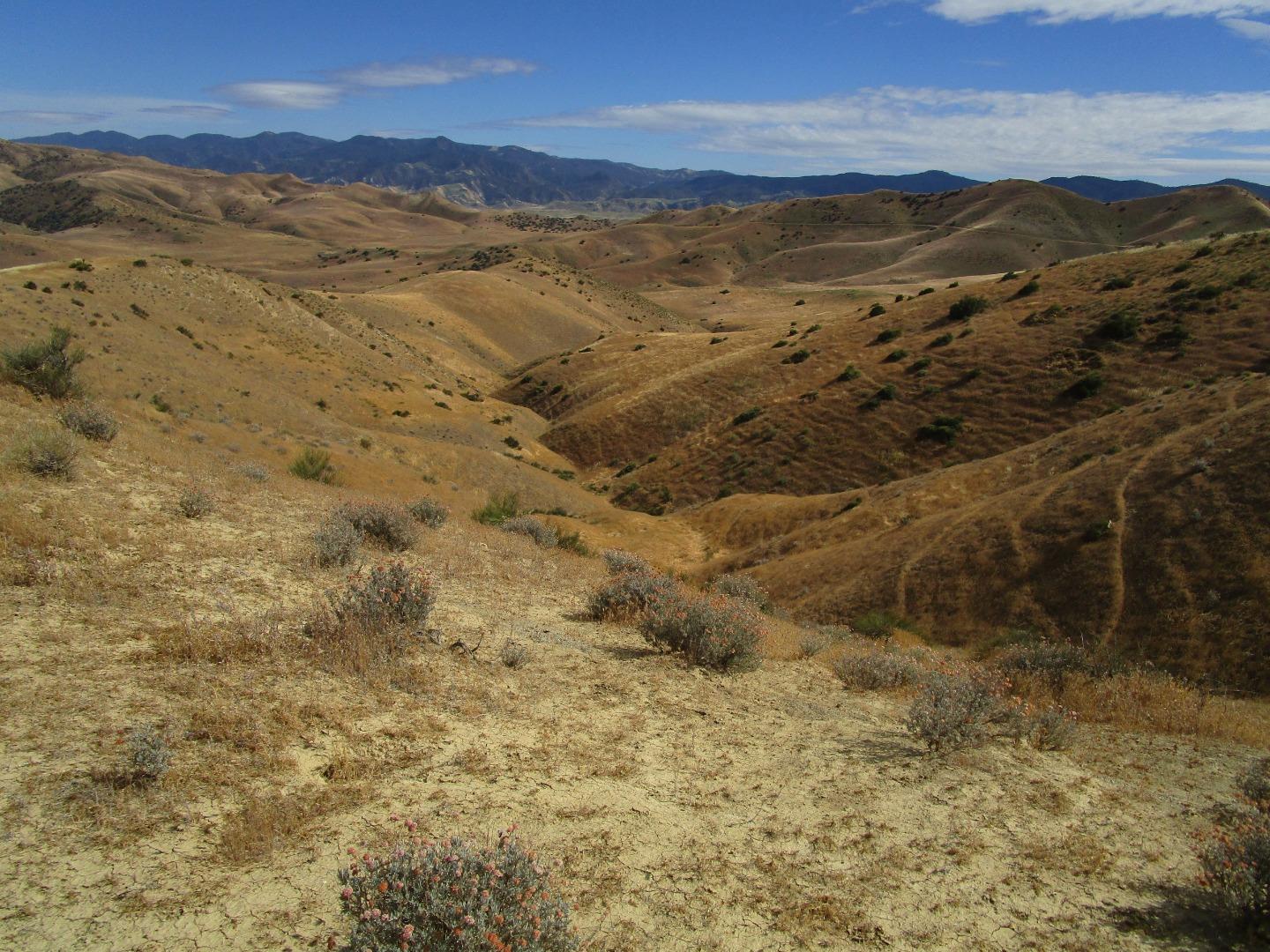 0 New Idria Road Paicines, CA 95043 - Photo 26 of 26