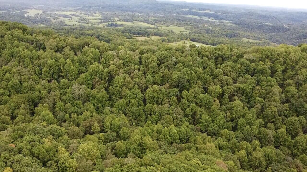 Sarton-wayside Rd Wayside Wv 24985 Union, WV 24983 - Photo 13 of 15 Gallery Image 13