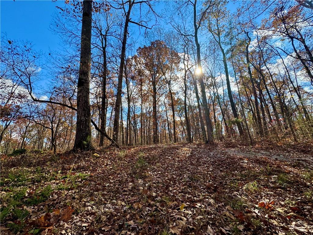 1012 King Mill Road McDonough, GA 30252 - Photo 45 of 64 a view of a yard with lots of bushes