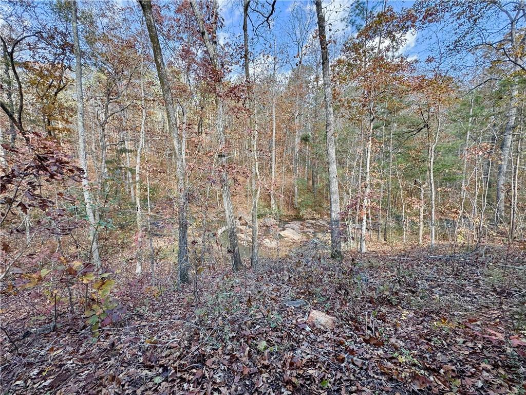 1012 King Mill Road McDonough, GA 30252 - Photo 47 of 64