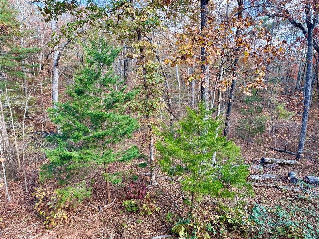 1012 King Mill Road McDonough, GA 30252 - Photo 48 of 64 a plant view in yard