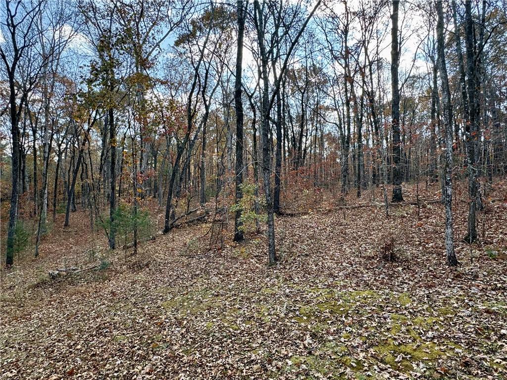 1012 King Mill Road McDonough, GA 30252 - Photo 49 of 64 a view of a forest with trees in the background