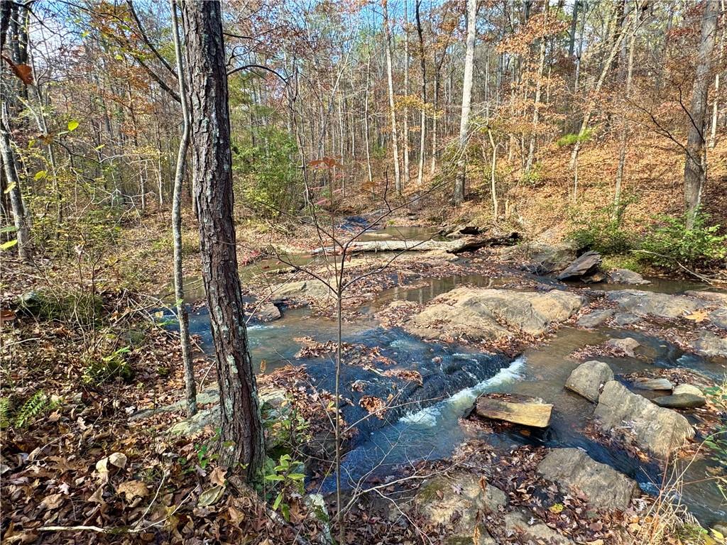 1012 King Mill Road McDonough, GA 30252 - Photo 52 of 64 a view of a yard with plants and large trees