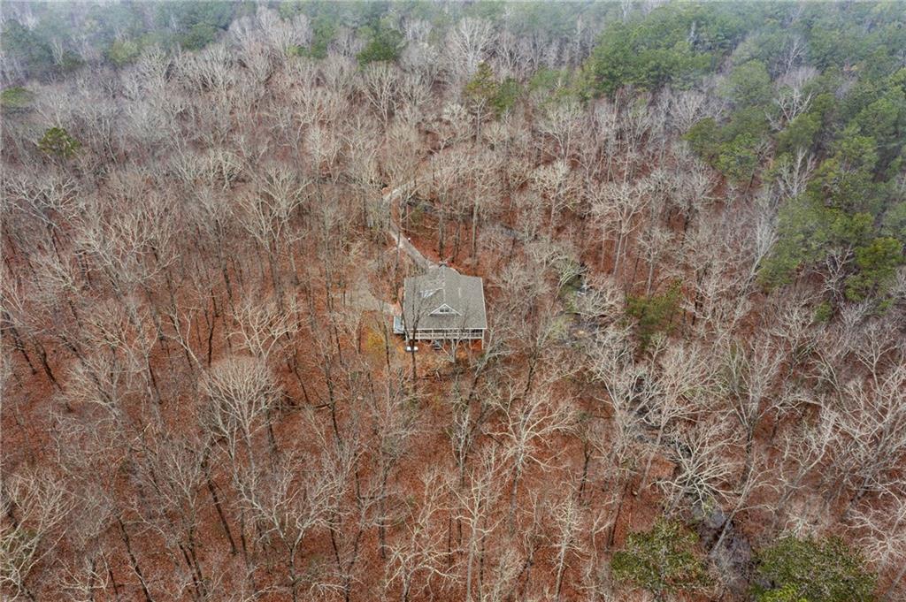 1012 King Mill Road McDonough, GA 30252 - Photo 56 of 64 a view of a dry yard