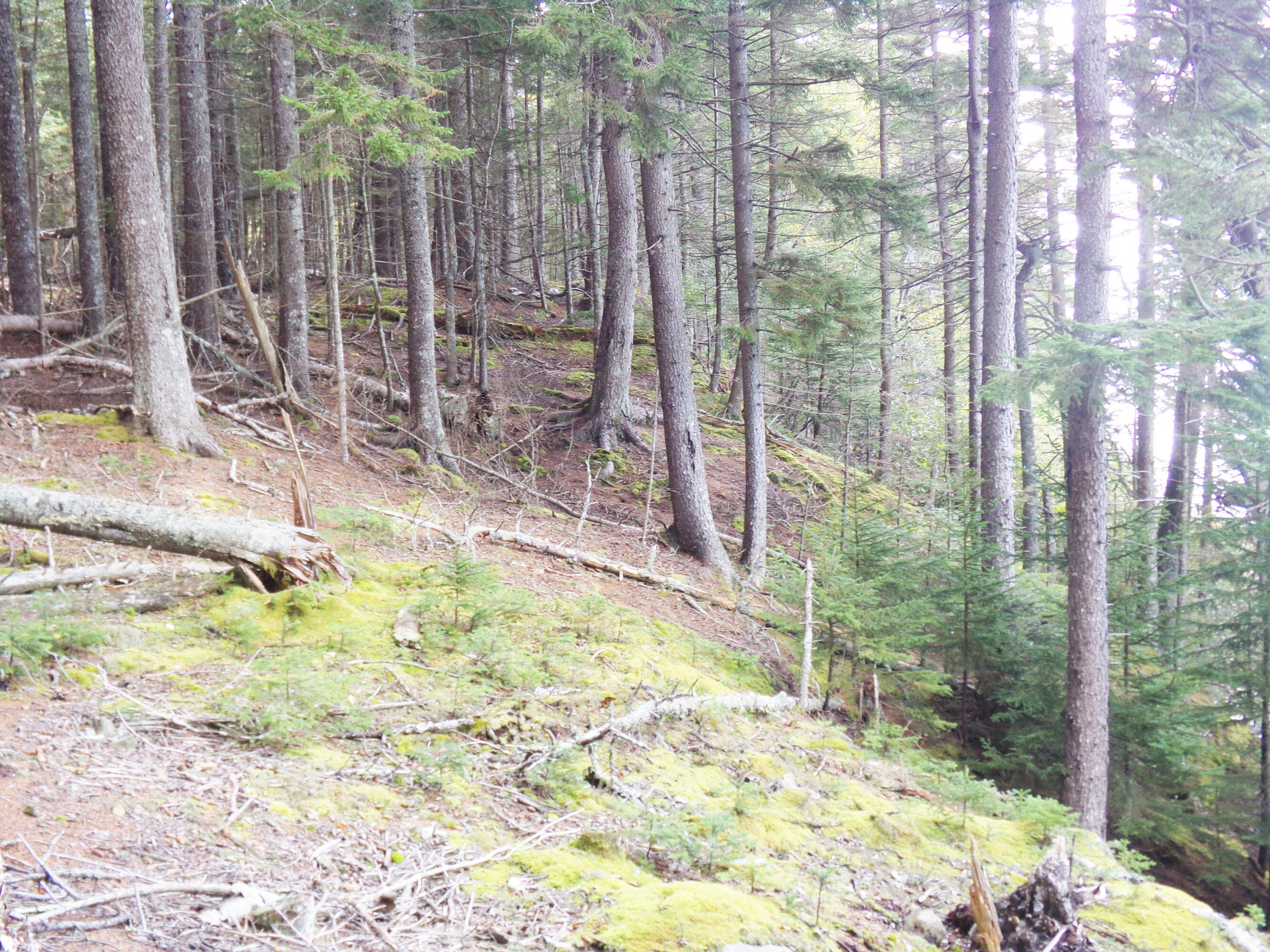 2 Johnson Point Road Orrs Island, ME 04066 - Photo 20 of 20 10jp.135_2198.f