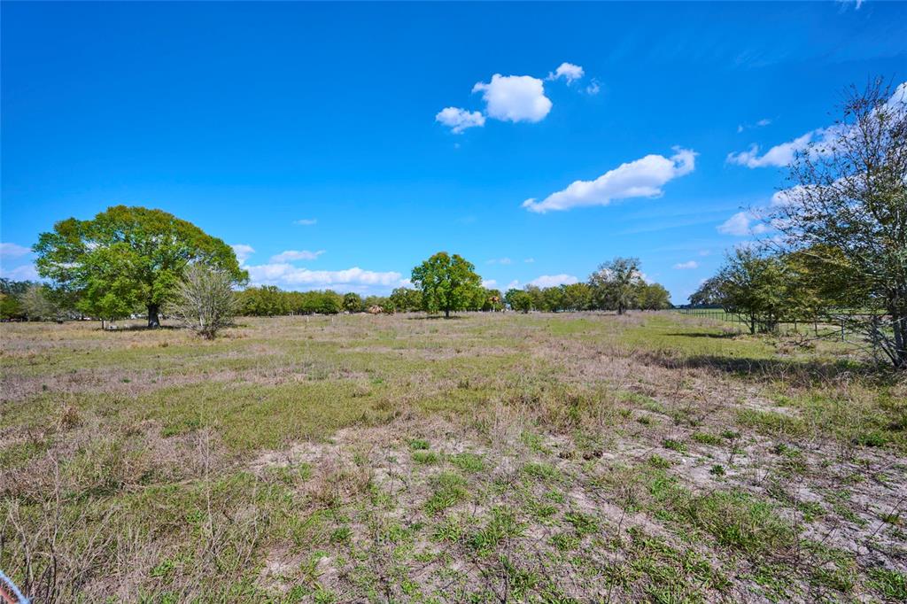 386 Capps Road Lake Wales, FL 33898 - Photo 6 of 13 a view of a yard with an tree