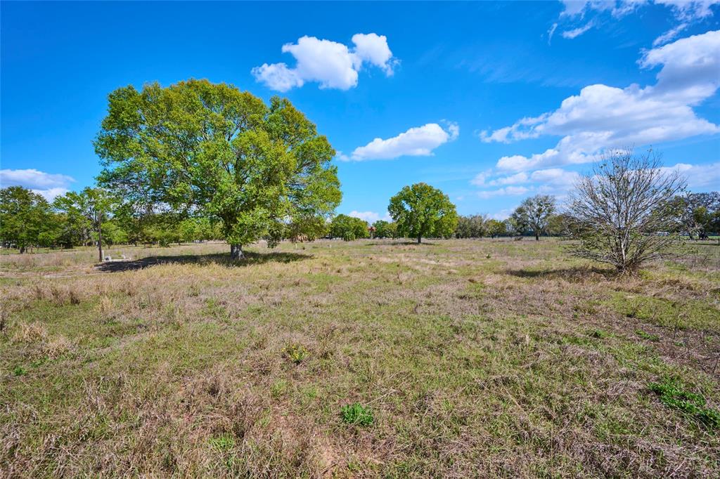 386 Capps Road Lake Wales, FL 33898 - Photo 7 of 13 a backyard of a house with lots of green space