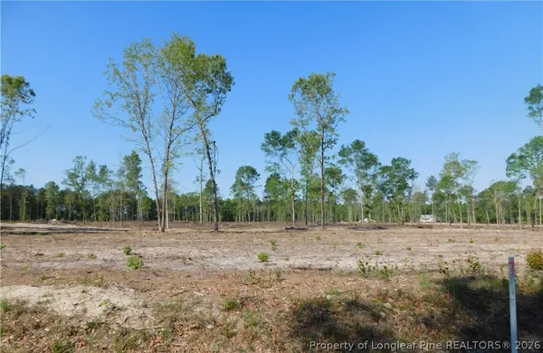 a view of dirt field with trees