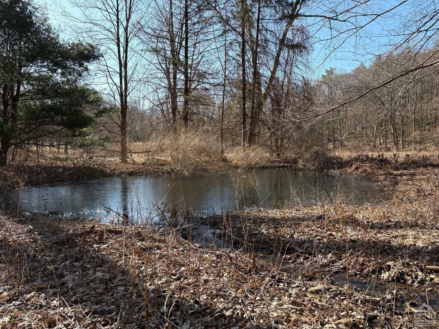 67 Blunt Road Great Barrington, MA 01230 - Photo 7 of 11 a view of a lake with houses