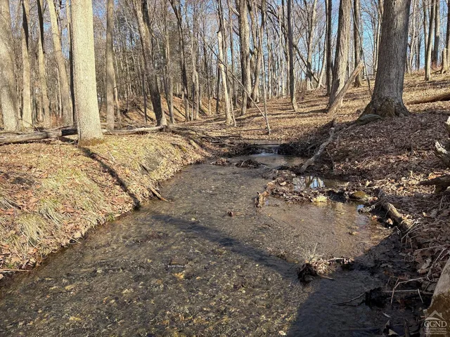 a view of a backyard of the house