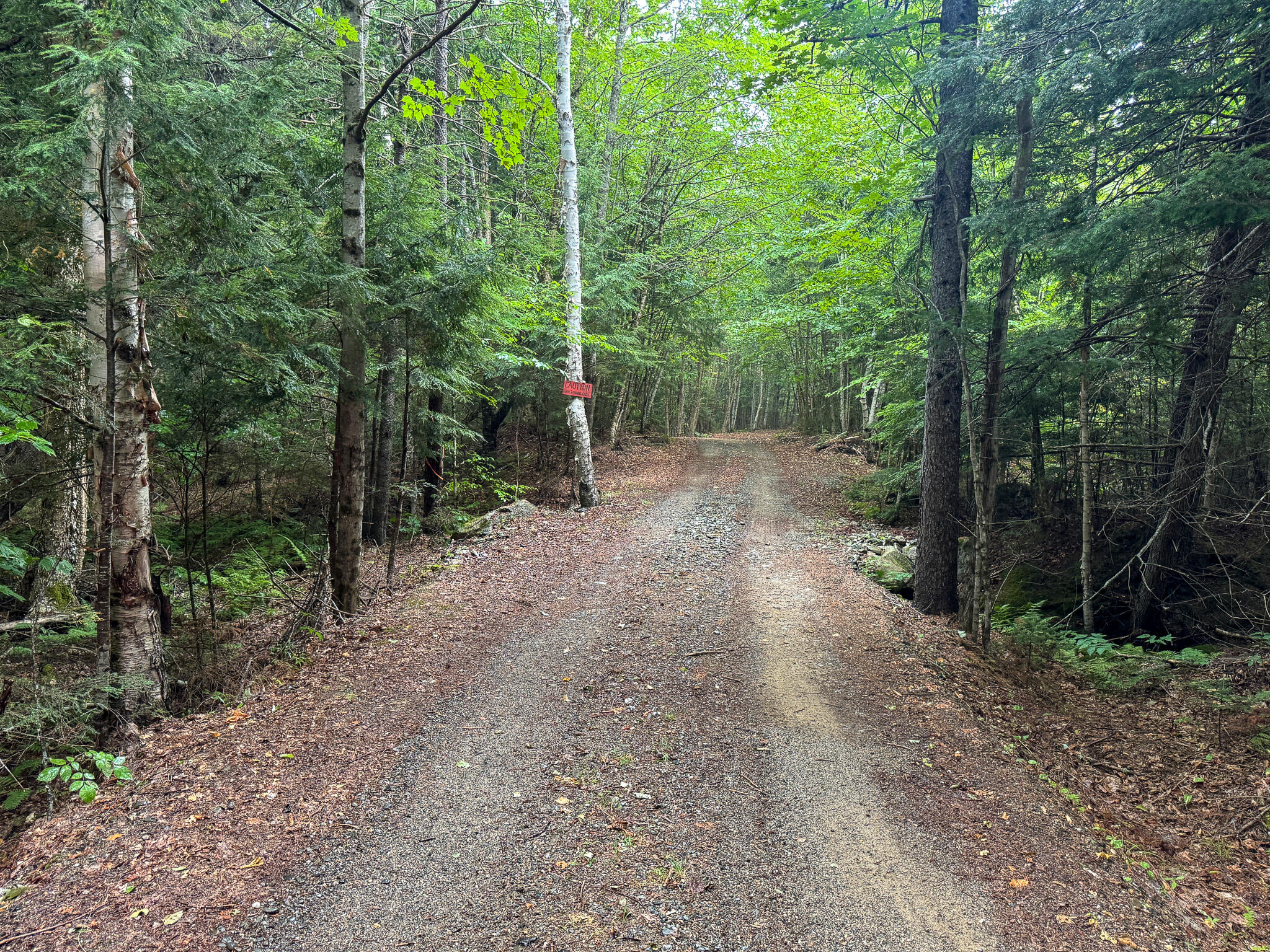 37 Rose Trail Burlington, ME 04417 - Photo 22 of 23 22