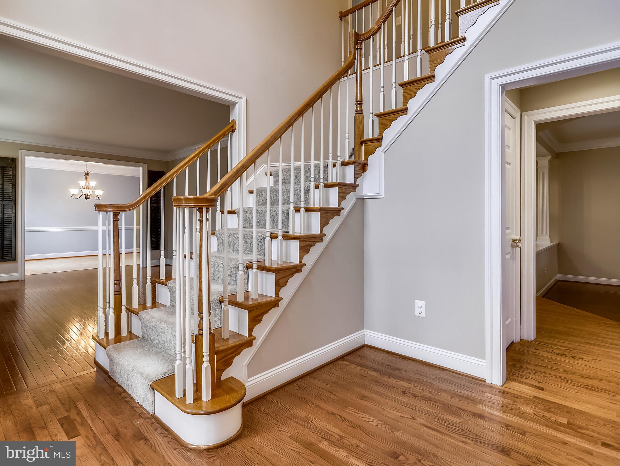 503 Broad Stream Lane Riva, MD 21140 - Photo 19 of 79 Staircase