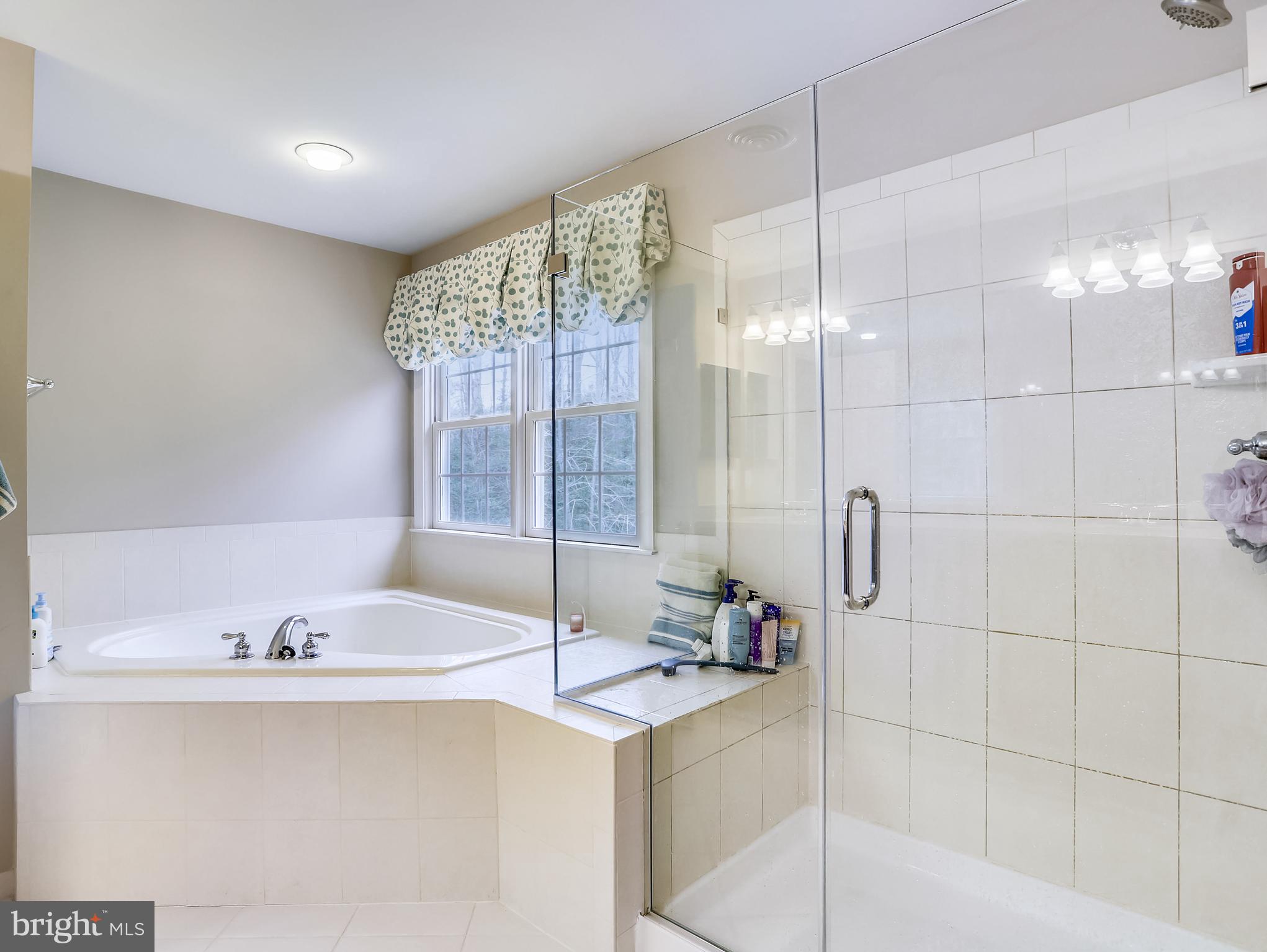 503 Broad Stream Lane Riva, MD 21140 - Photo 50 of 79 Primary Shower with Frameless Glass Doors