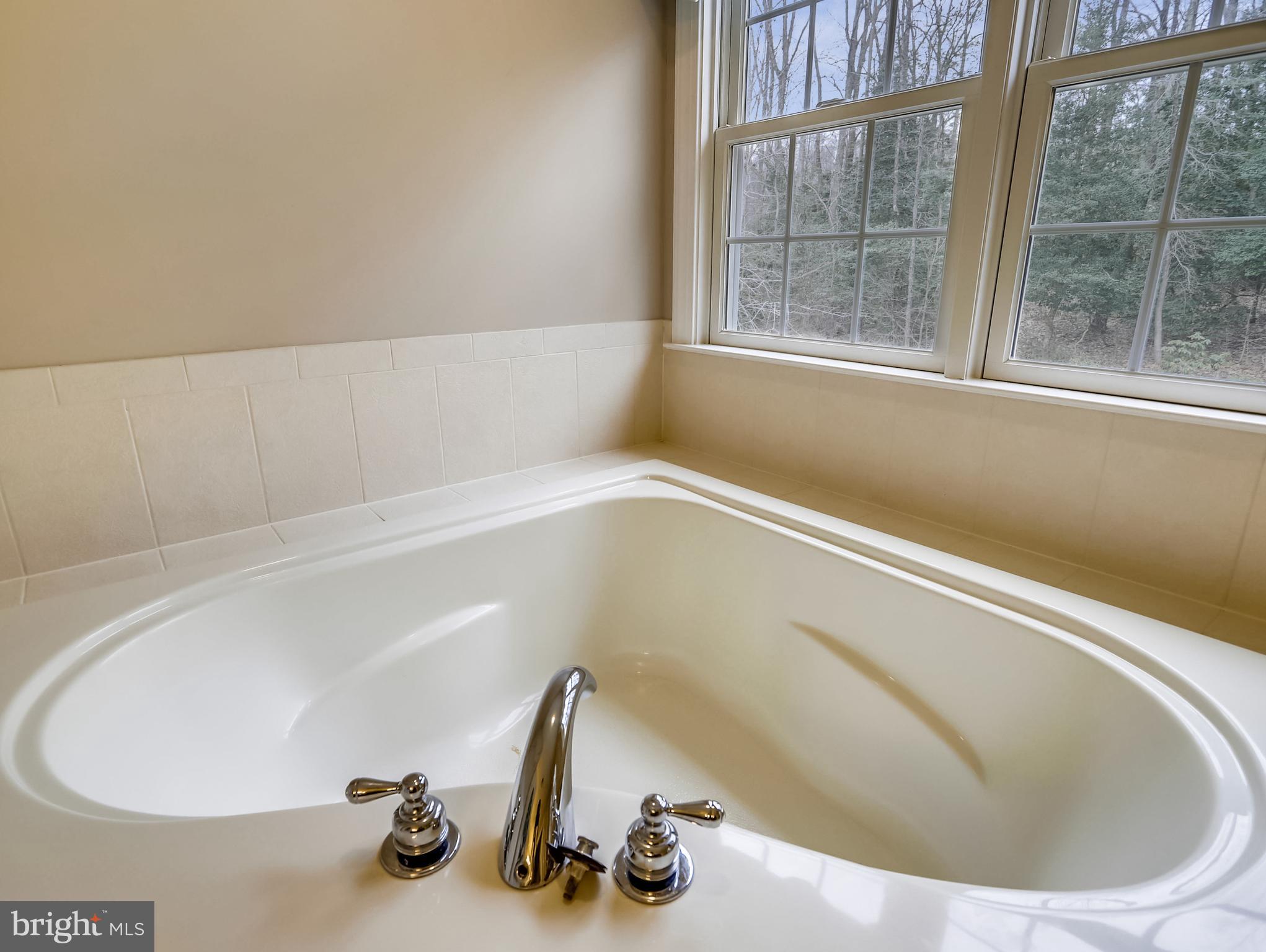 503 Broad Stream Lane Riva, MD 21140 - Photo 51 of 79 Primary Soaking Tub