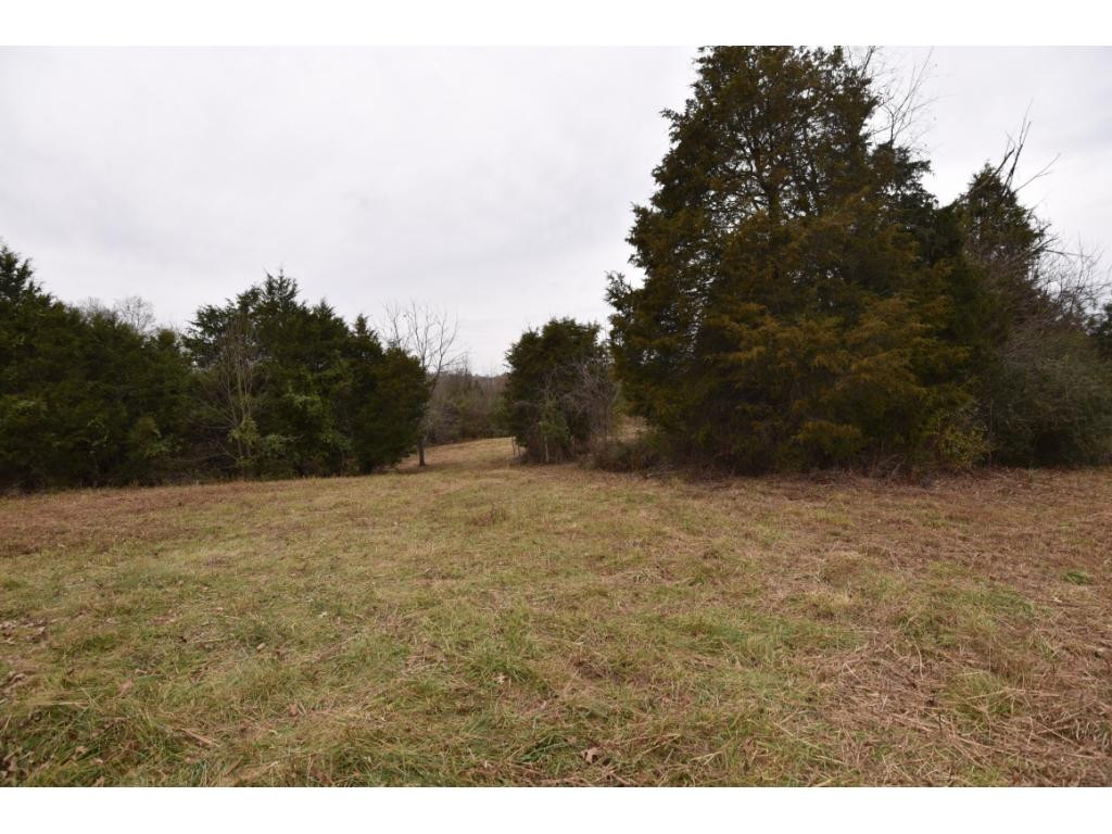 145 Oak Grove Road Johnson City, TN 37615 - Photo 14 of 36 Photo 14