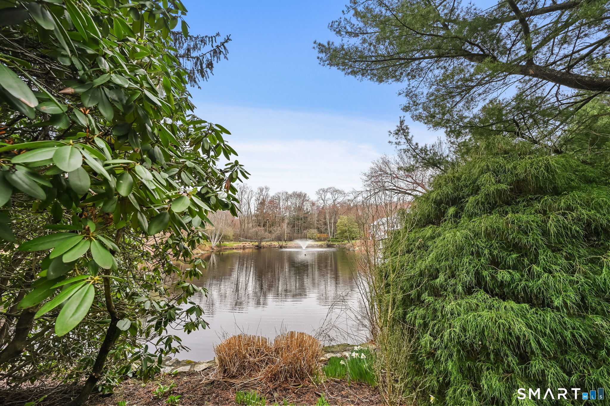 320 Chestnut Hill Road Stamford, CT 06903 - Photo 8 of 40