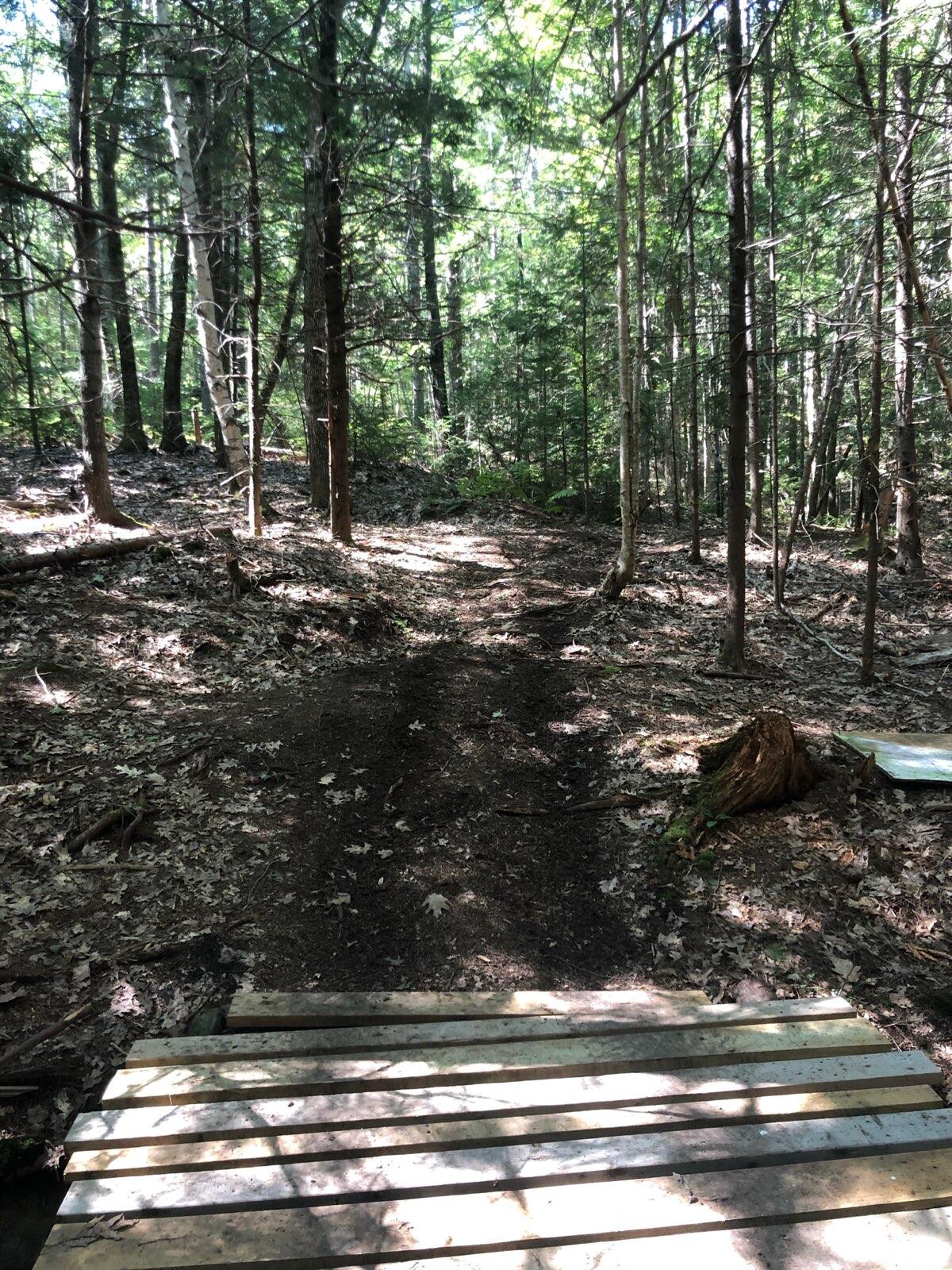 Lot 40 Pension Ridge Road Boothbay, ME 04537 - Photo 2 of 7 Bridge Shot
