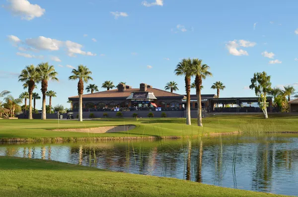 a group of potted plants sitting in front of a building