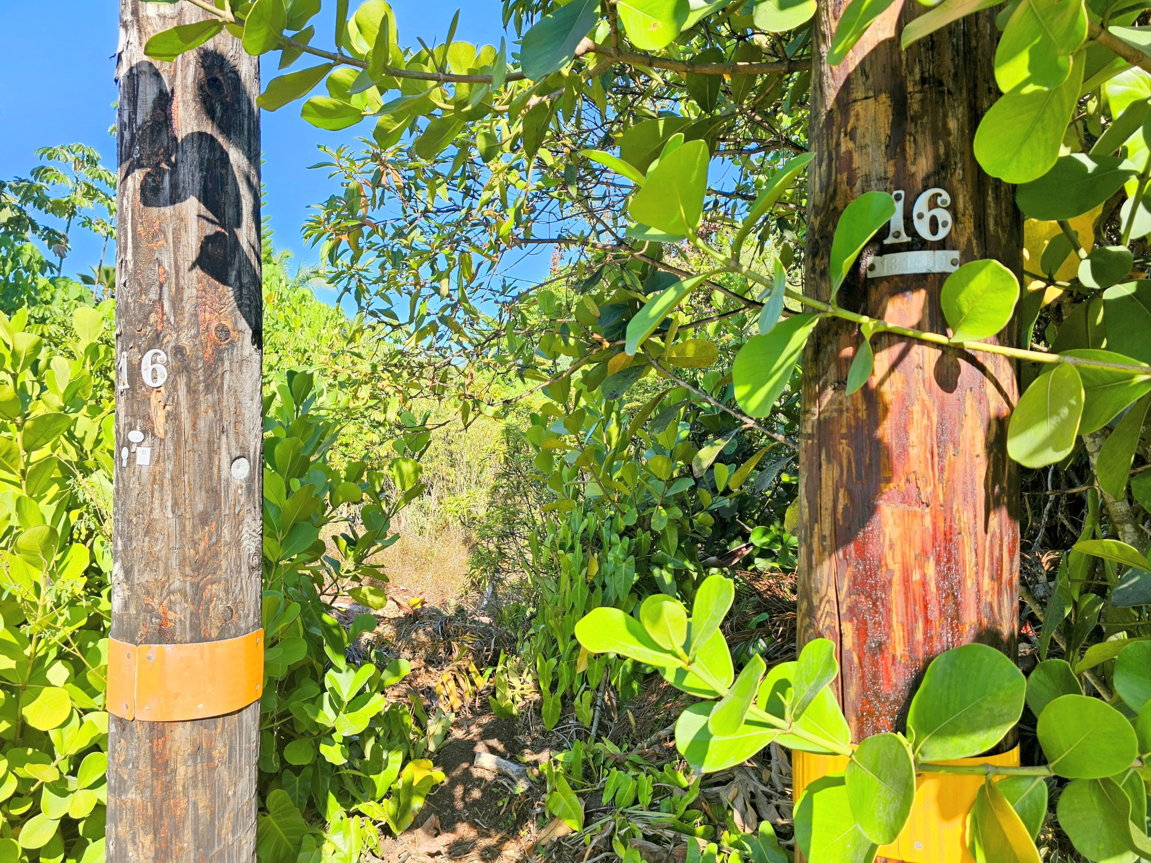 15-849 Lot 331 Lemiwai Road Keaau, HI 96749 - Photo 13 of 13