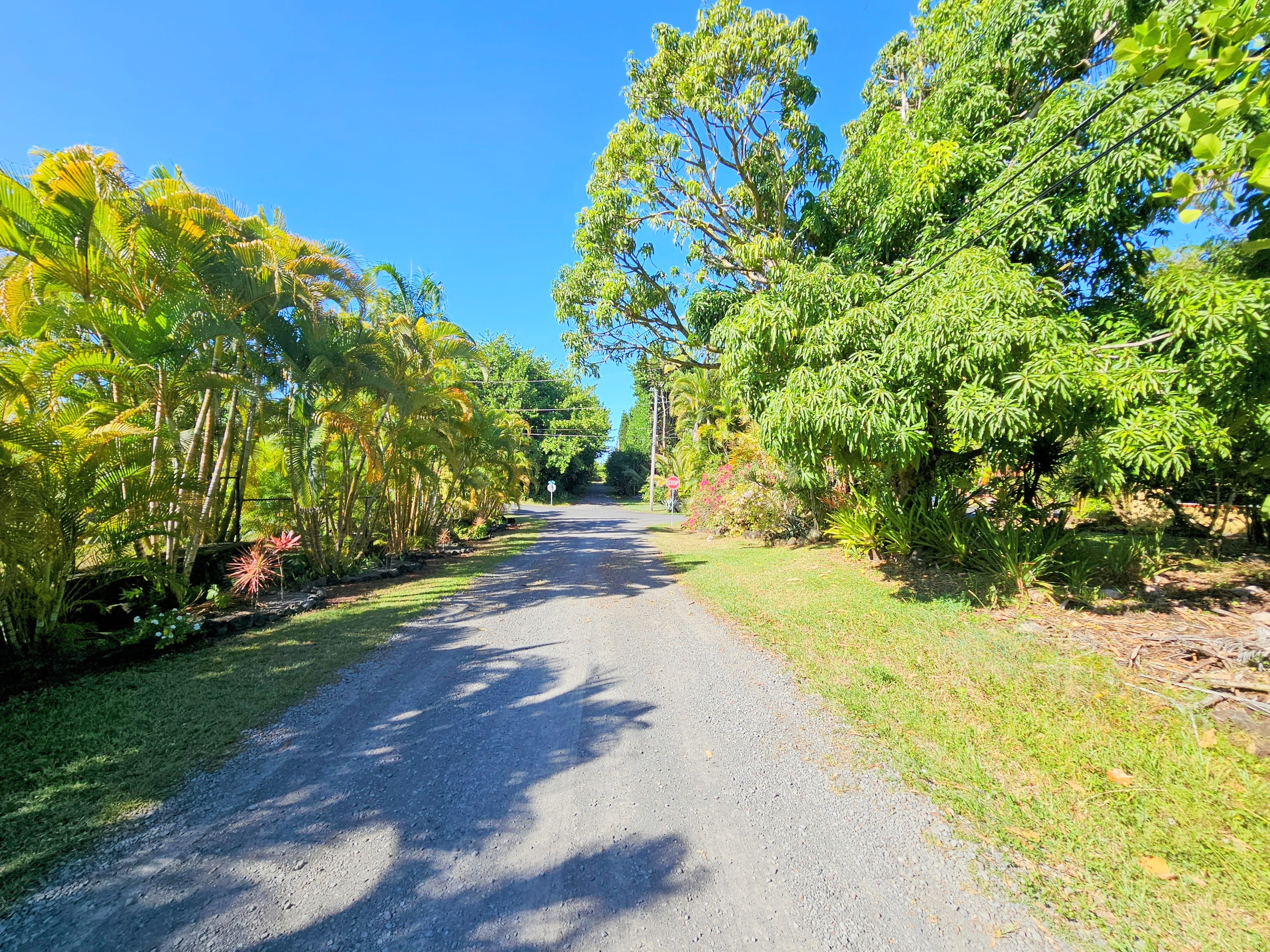 15-849 Lot 331 Lemiwai Road Keaau, HI 96749 - Photo 3 of 13 a view of yard with tree