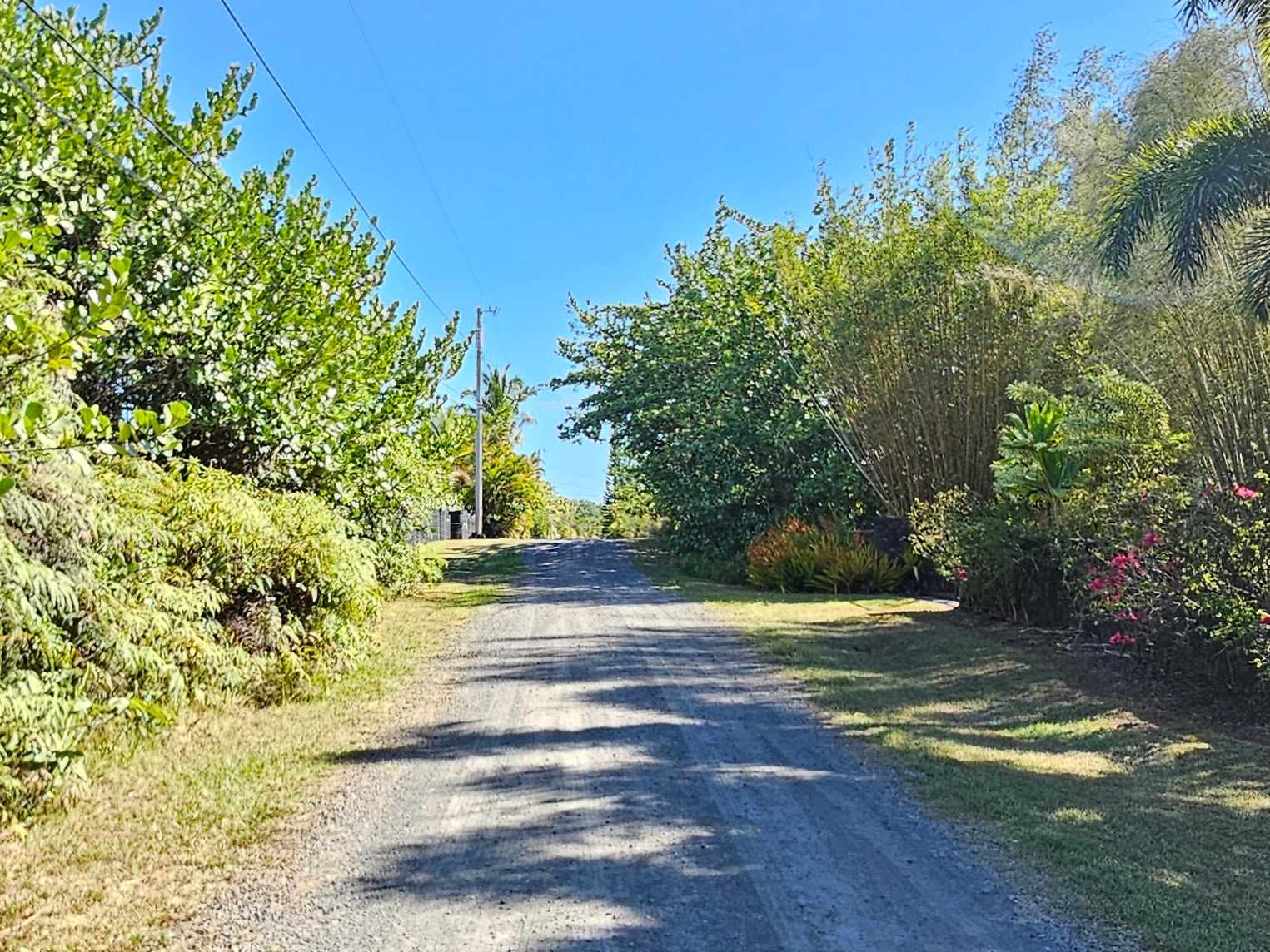 15-849 Lot 331 Lemiwai Road Keaau, HI 96749 - Photo 5 of 13 a view of a yard