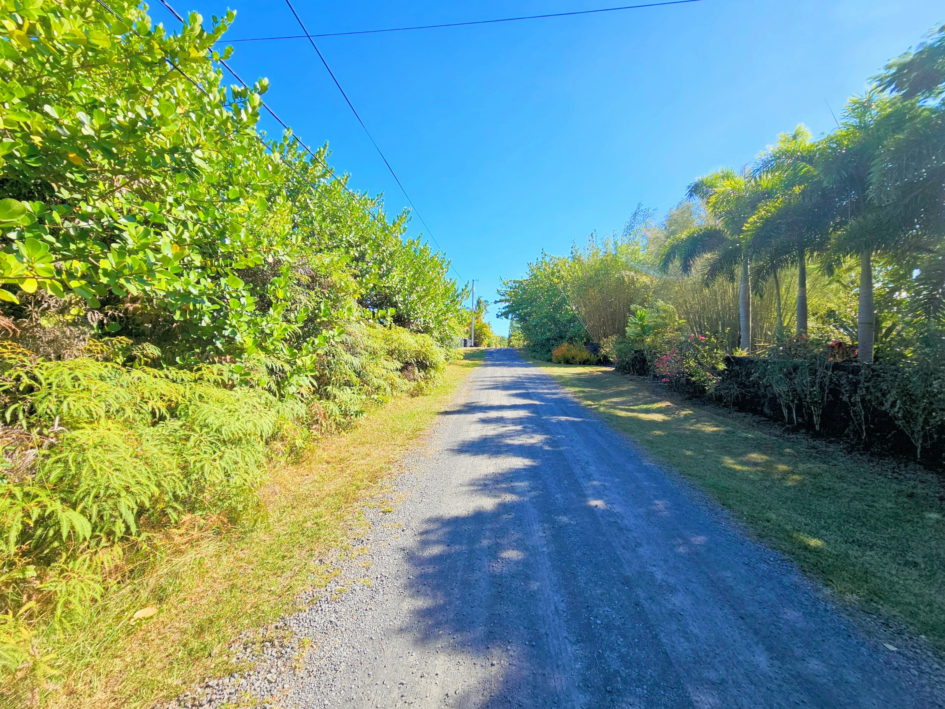 15-849 Lot 331 Lemiwai Road Keaau, HI 96749 - Photo 6 of 13 a view of a yard with plants and trees