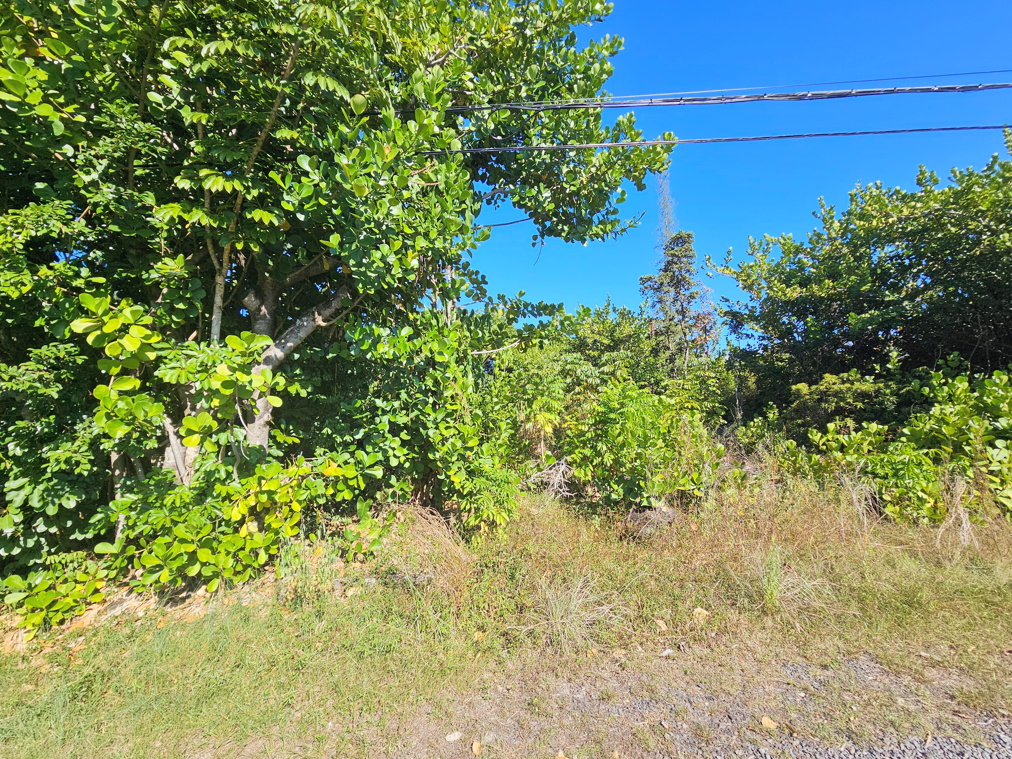 15-849 Lot 331 Lemiwai Road Keaau, HI 96749 - Photo 7 of 13