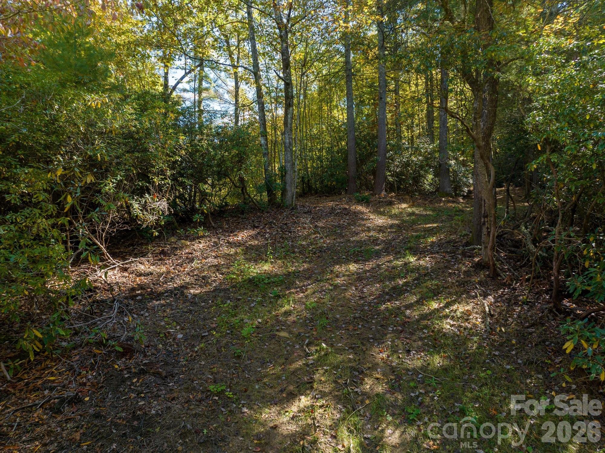 0 Big Hungry Road Flat Rock, NC 28731 - Photo 30 of 40 a view of a forest with trees in the background