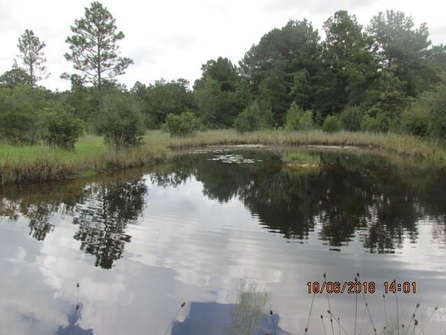 19391 Wymer Road Covington, LA 70435 - Photo 26 of 37 Gallery Image 26