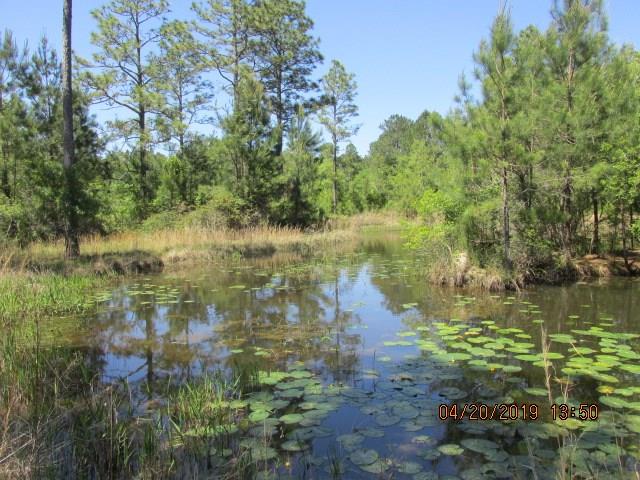 19391 Wymer Road Covington, LA 70435 - Photo 29 of 37 Gallery Image 29