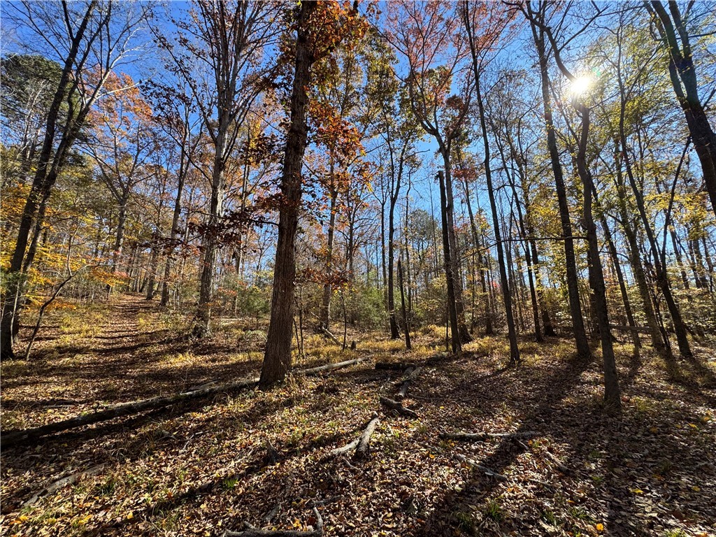 220 Wildwood Farms Road Gray Court, SC 29645 - Photo 45 of 50
