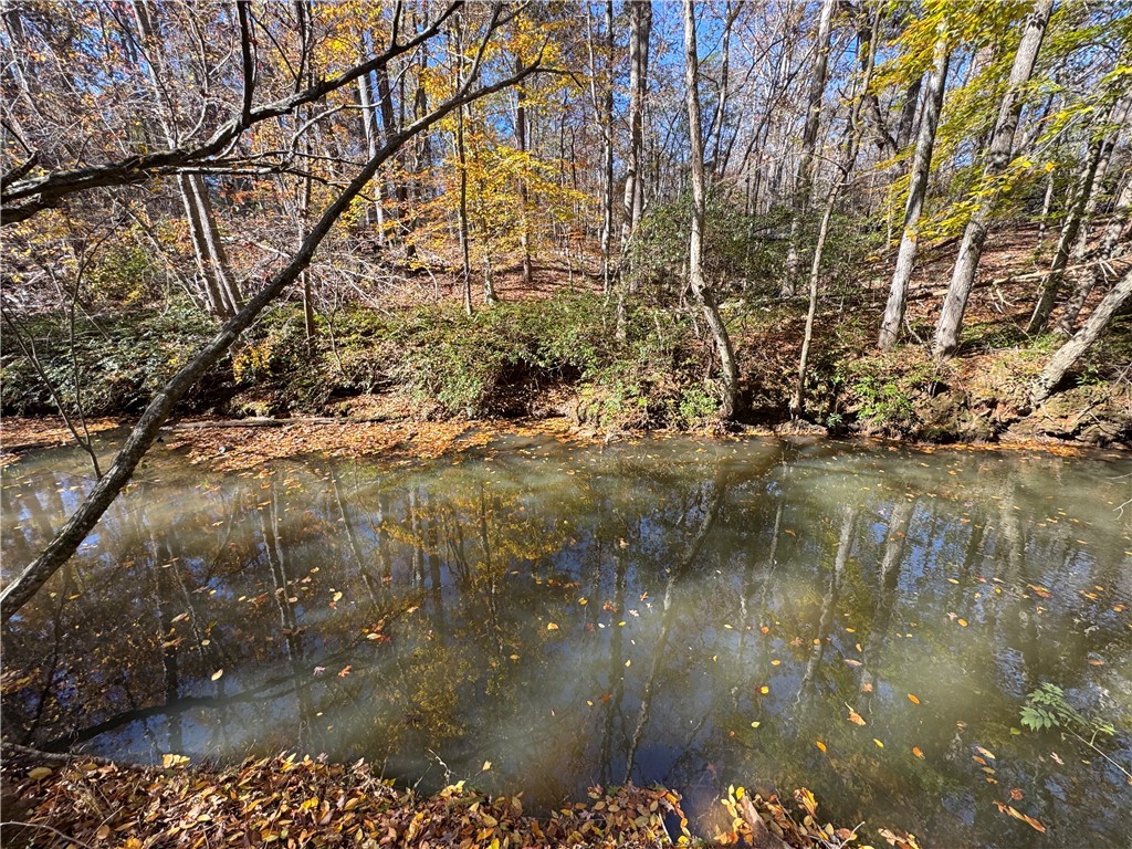 220 Wildwood Farms Road Gray Court, SC 29645 - Photo 47 of 50