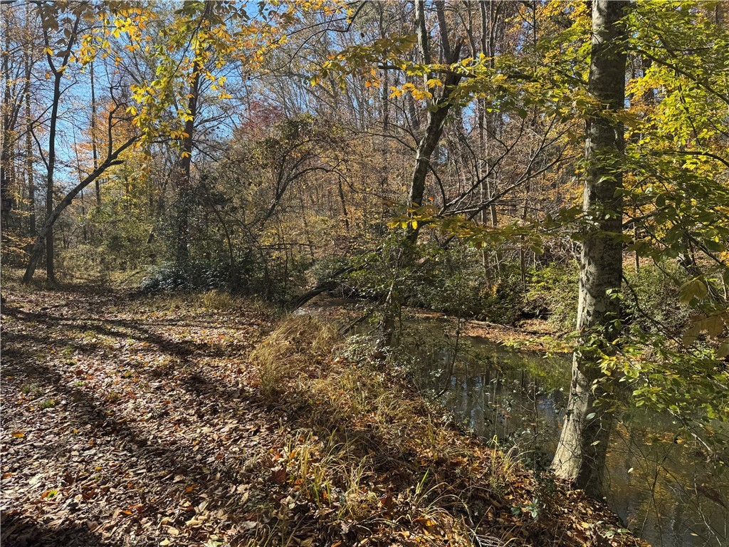 220 Wildwood Farms Road Gray Court, SC 29645 - Photo 50 of 50