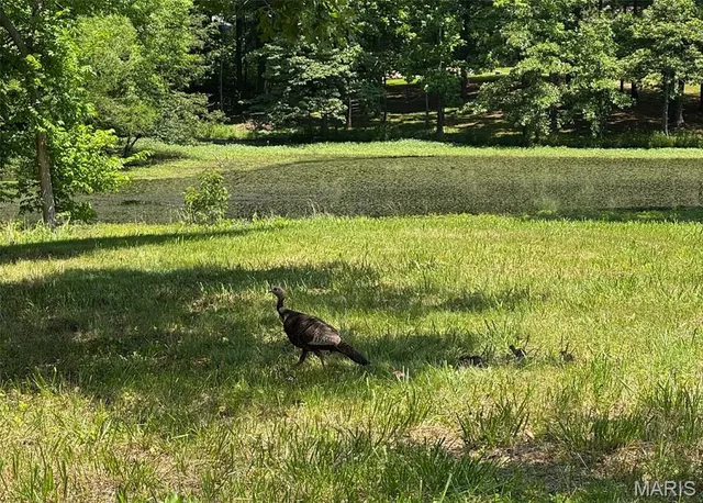 $149,500 | 12881 Highway 154, Sparta, IL 62286