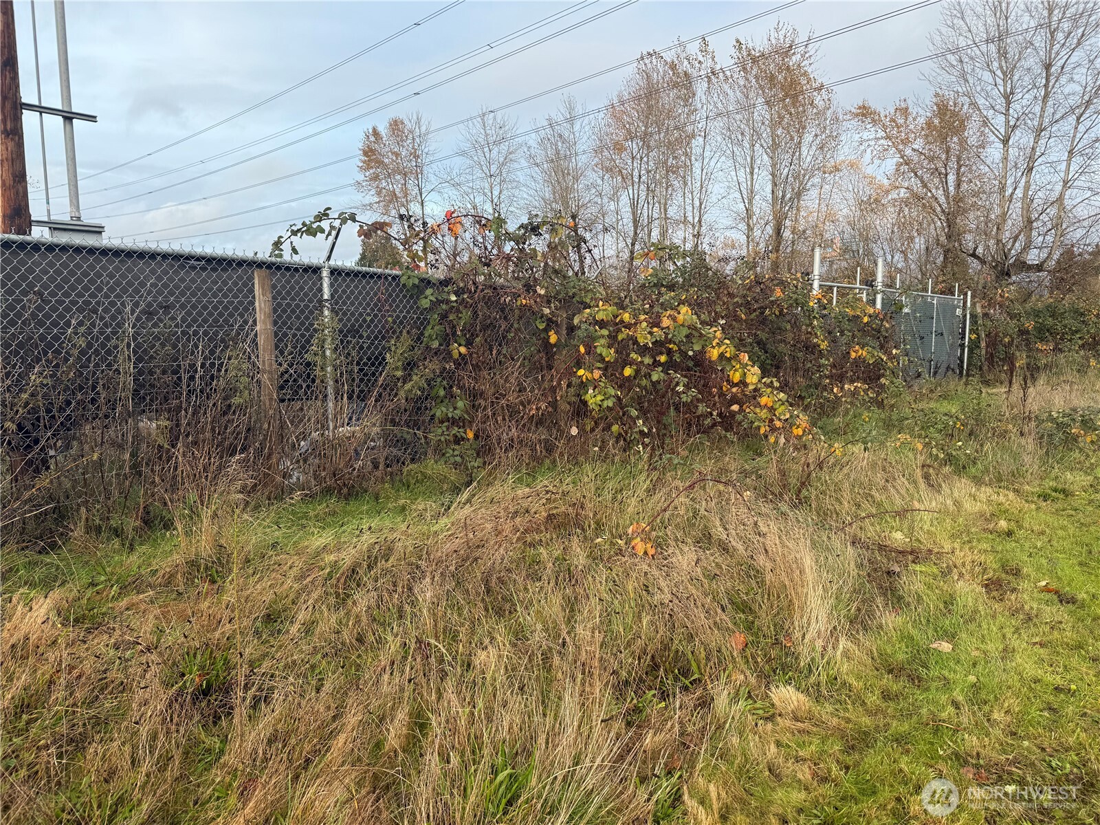 4427 Gay Road East Tacoma, WA 98443 - Photo 1 of 2