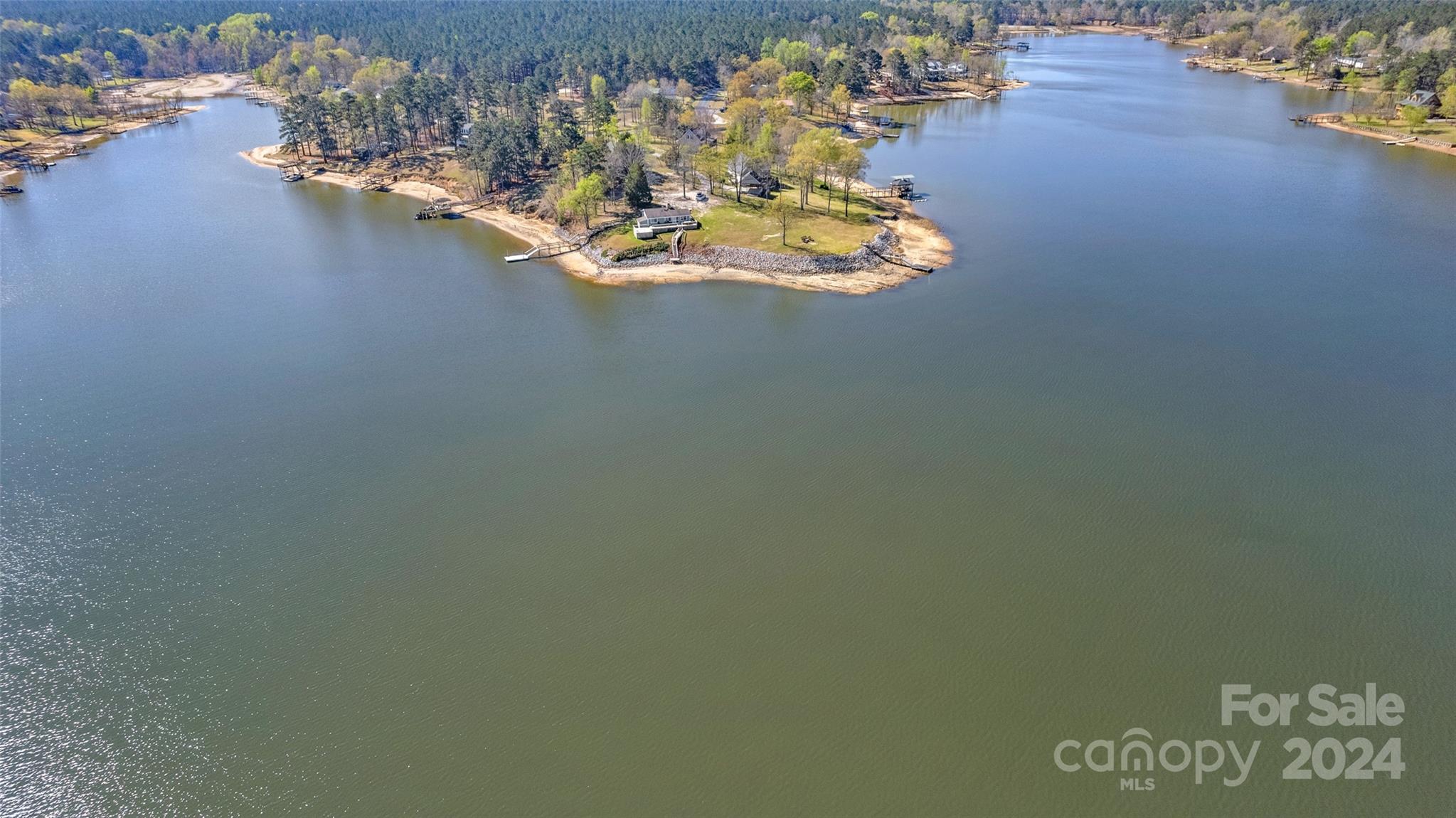 0 Rainbow Cove Ridgeway, SC 29130 - Photo 5 of 10 a close up of a vase of flowers on wooden floor