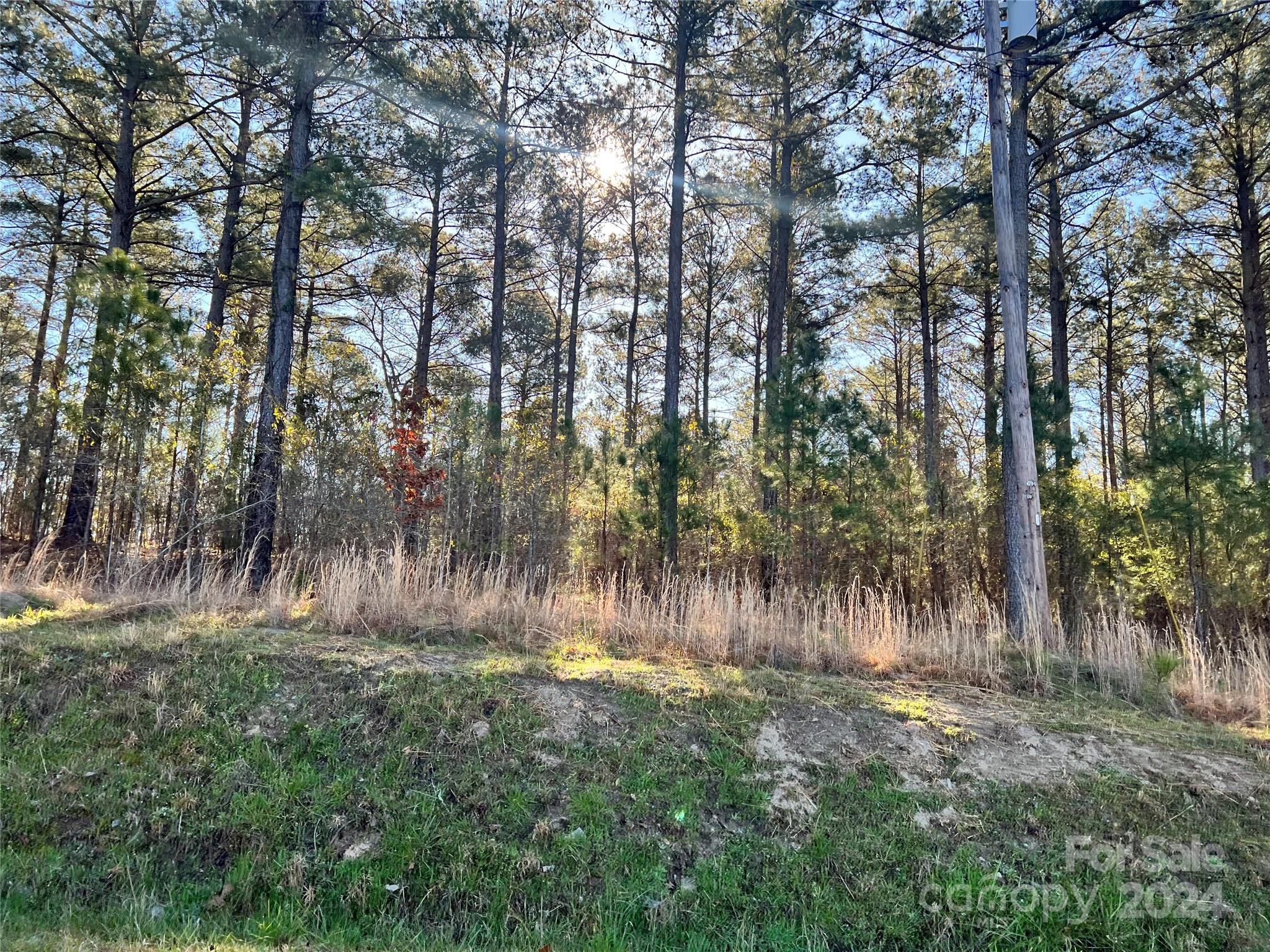 0 Rainbow Cove Ridgeway, SC 29130 - Photo 6 of 10 a view of outdoor space and yard