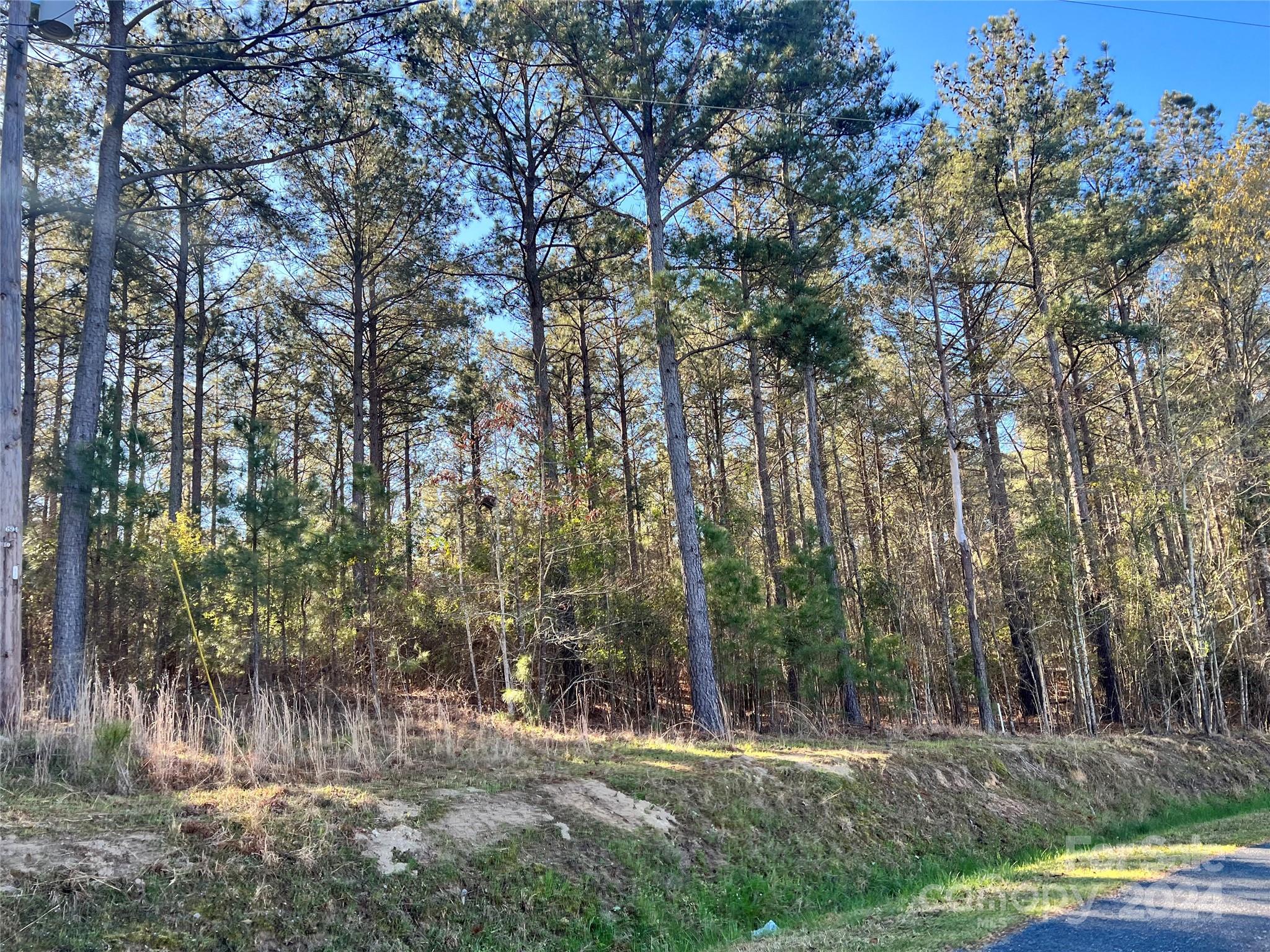0 Rainbow Cove Ridgeway, SC 29130 - Photo 7 of 10 a view of a yard