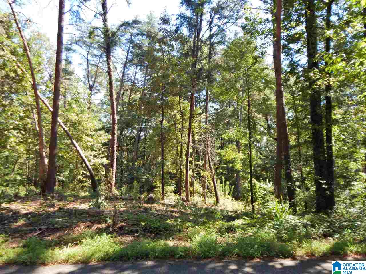 479 Beasley Road, Unit 6B Gardendale, AL 35071 - Photo 3 of 4