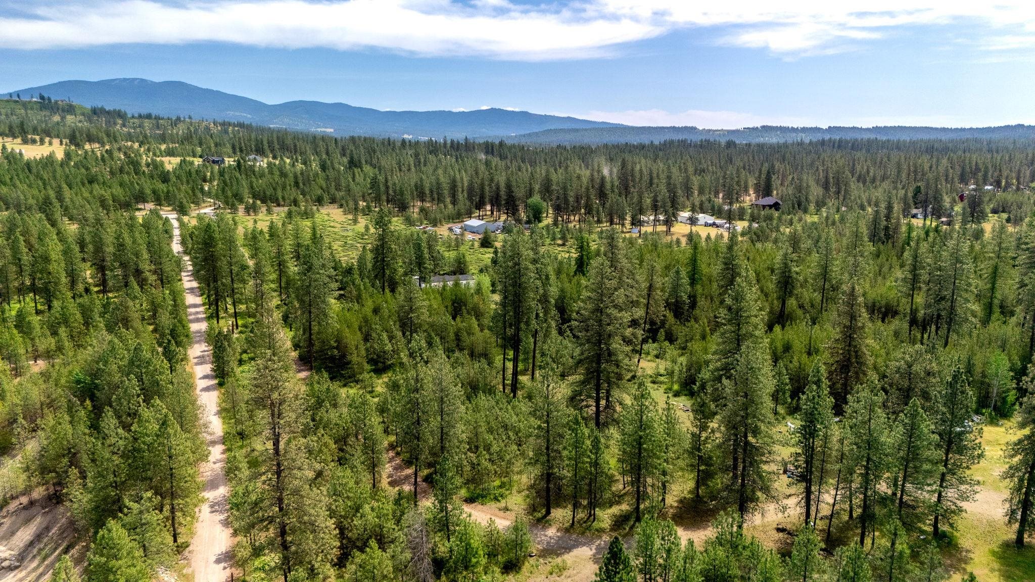 28995 North Hardesty Road Chattaroy, WA 99003 - Photo 44 of 46