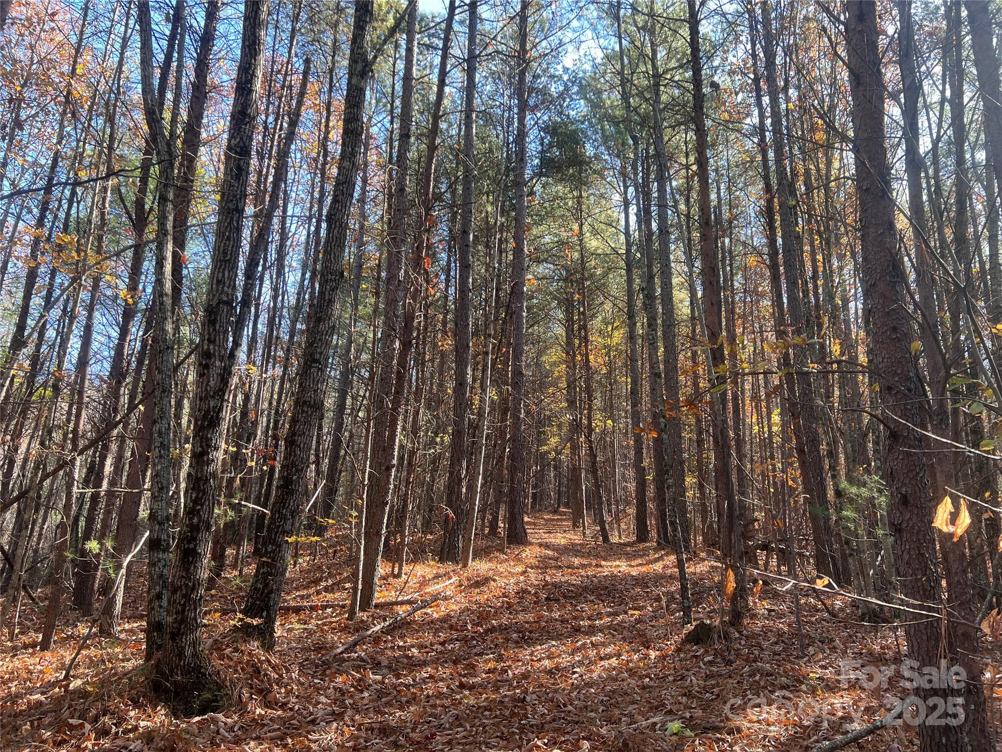 0 North Fork Road Bostic, NC 28018 - Photo 11 of 12 Gallery Image 11