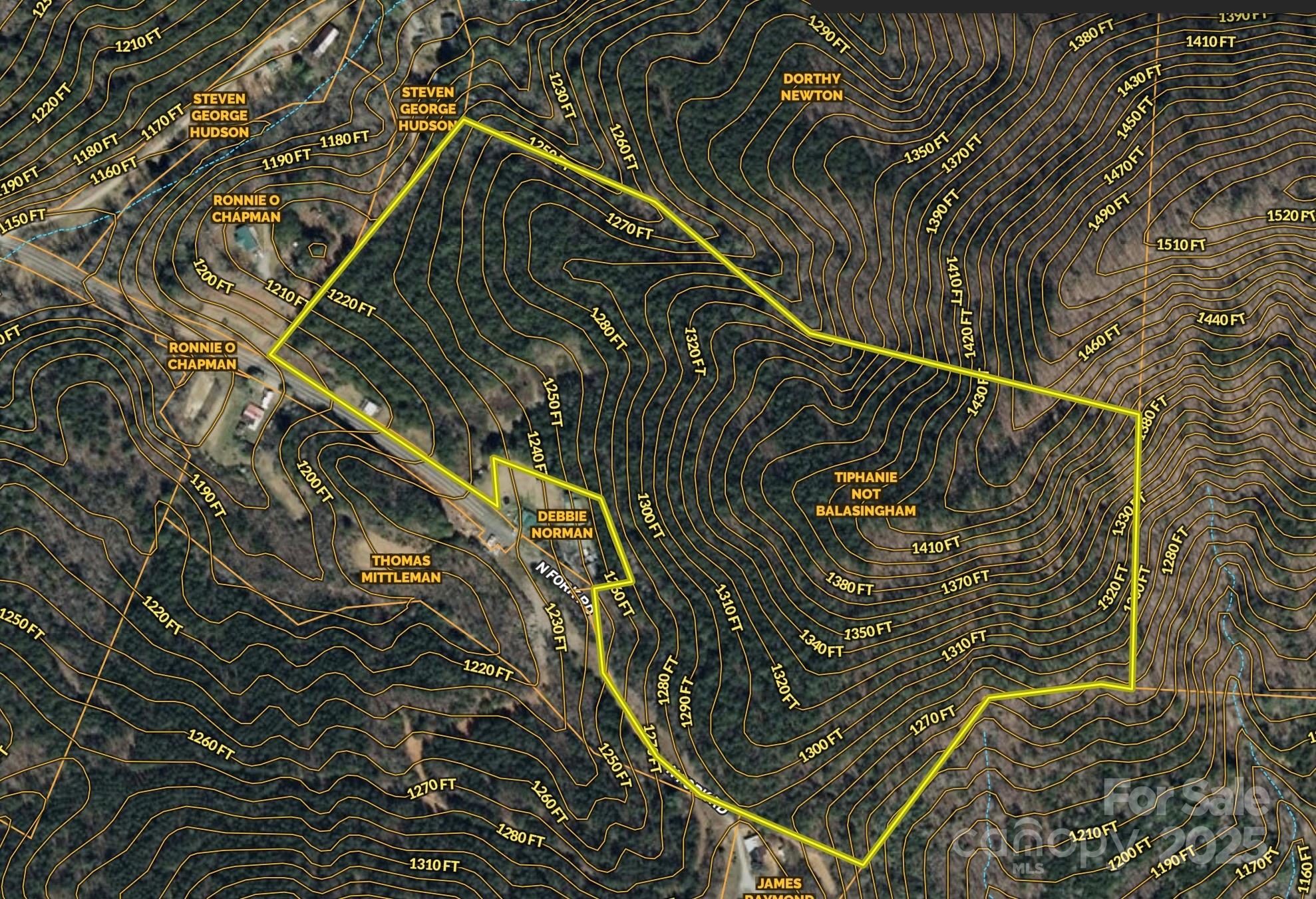 0 North Fork Road Bostic, NC 28018 - Photo 4 of 12 Gallery Image 4