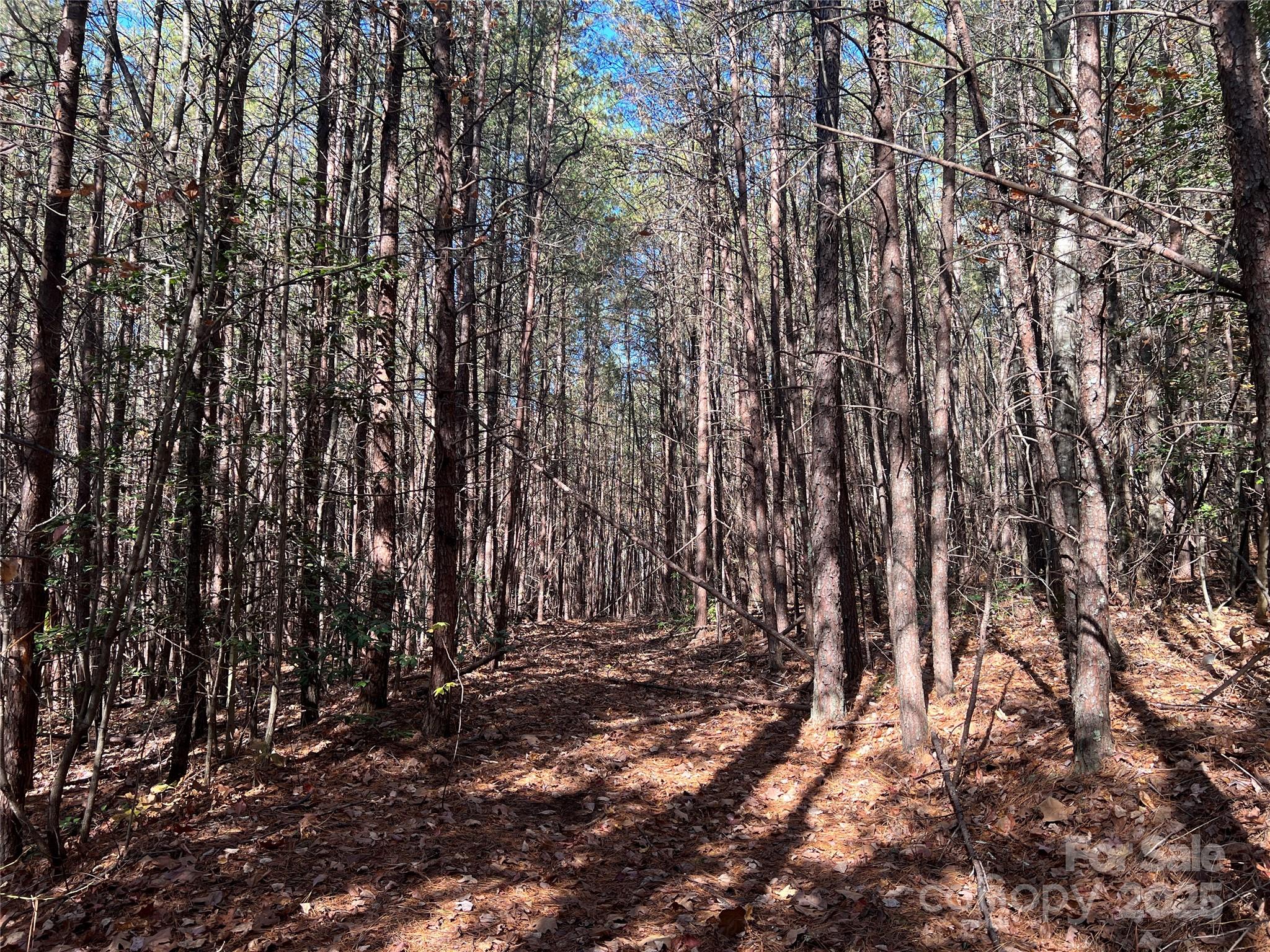 0 North Fork Road Bostic, NC 28018 - Photo 5 of 12 Gallery Image 5
