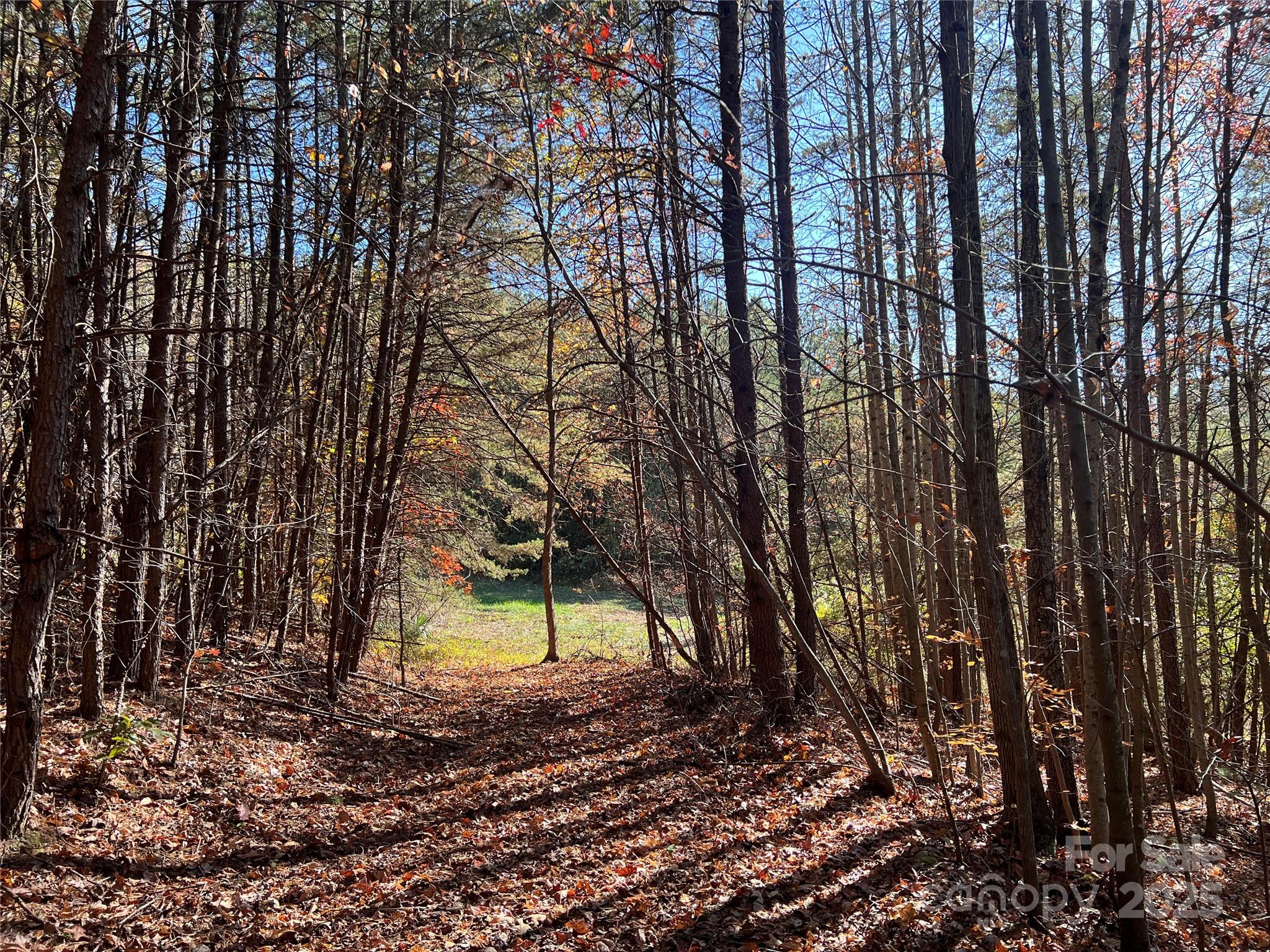 0 North Fork Road Bostic, NC 28018 - Photo 6 of 12 Gallery Image 6