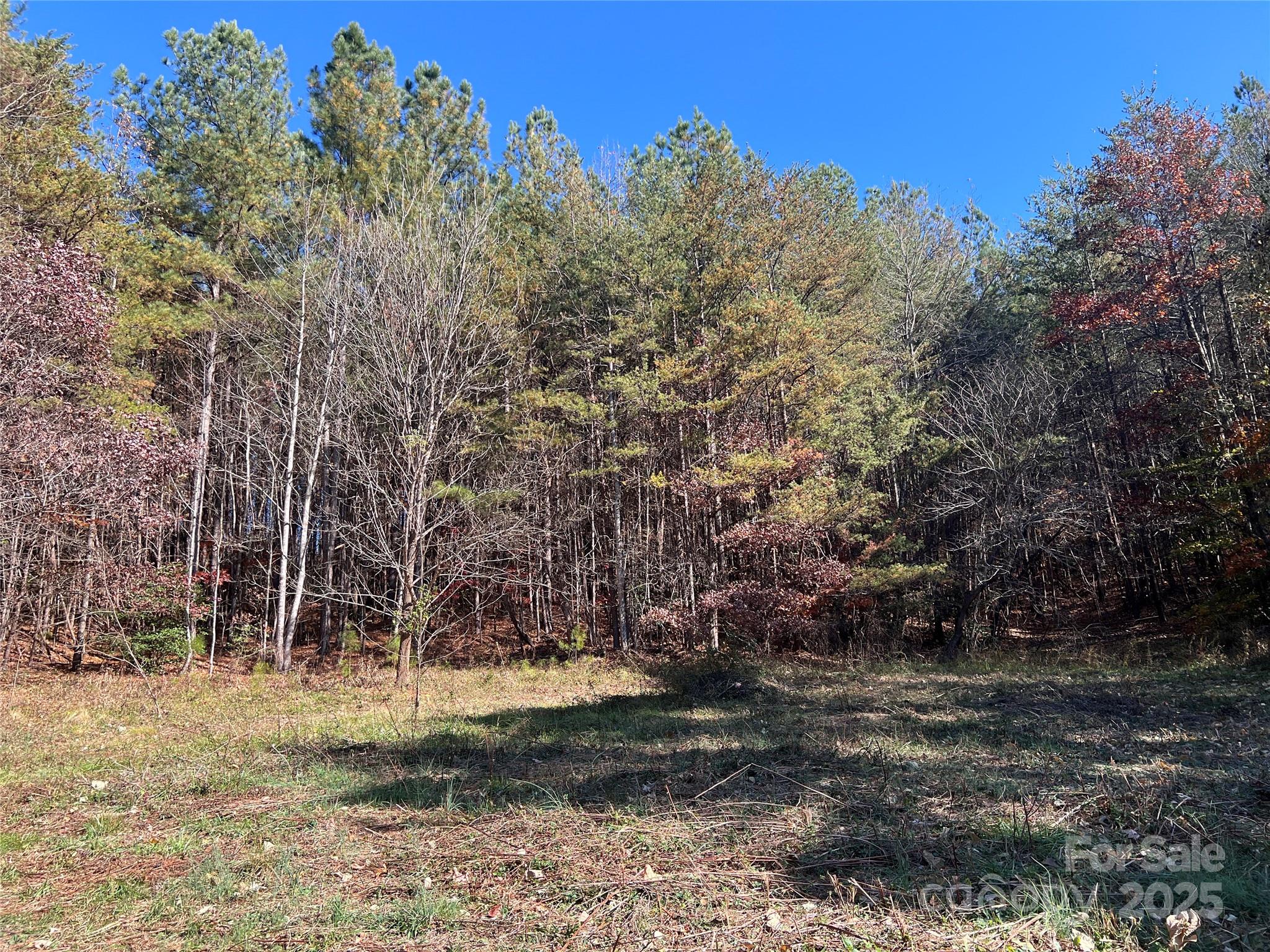 0 North Fork Road Bostic, NC 28018 - Photo 7 of 12 Gallery Image 7